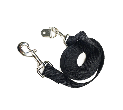 Pet Leash